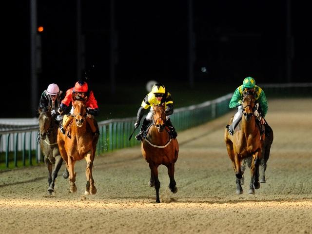 There is racing at Wolverhampton on Monday